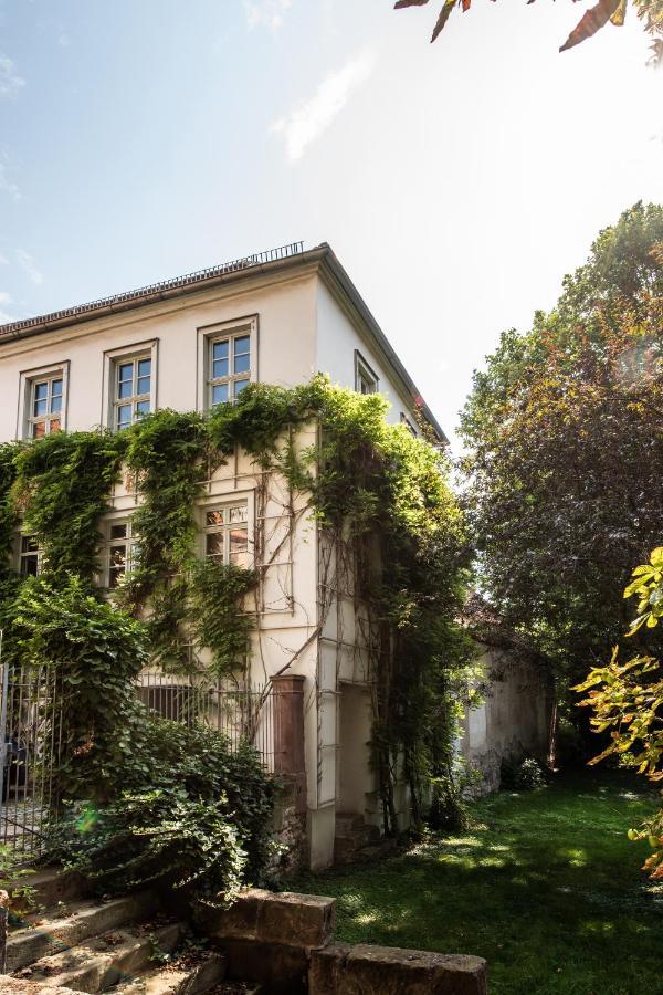 Ferienwohnung Am Dom 나움부르크 외부 사진