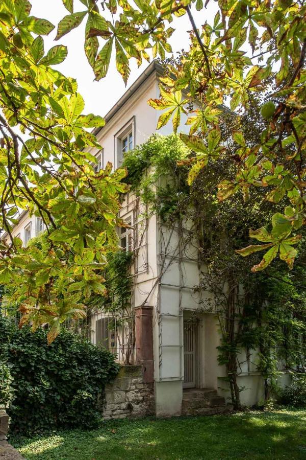 Ferienwohnung Am Dom 나움부르크 외부 사진