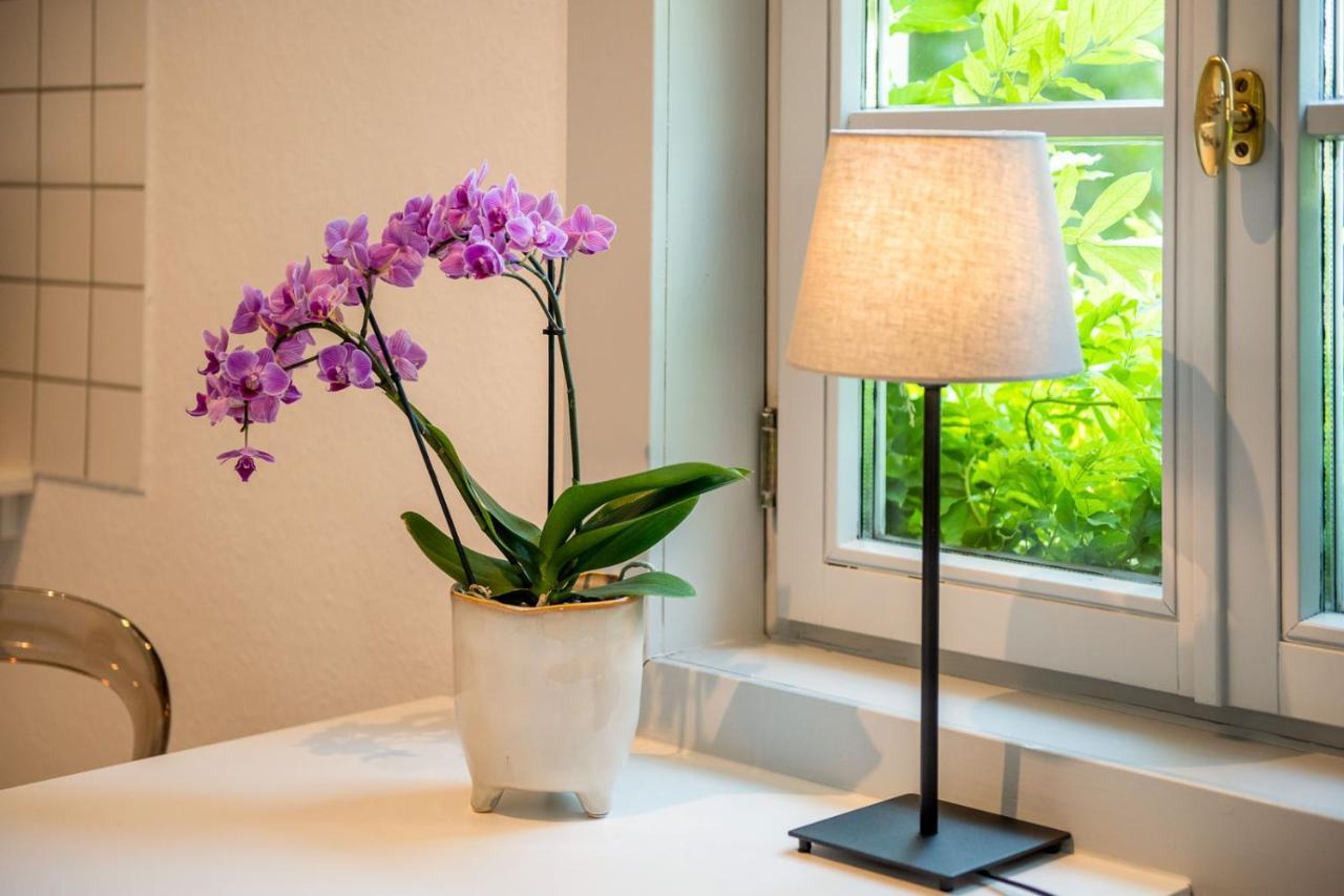Ferienwohnung Am Dom 나움부르크 외부 사진